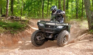 pellan_kingquad_2_16